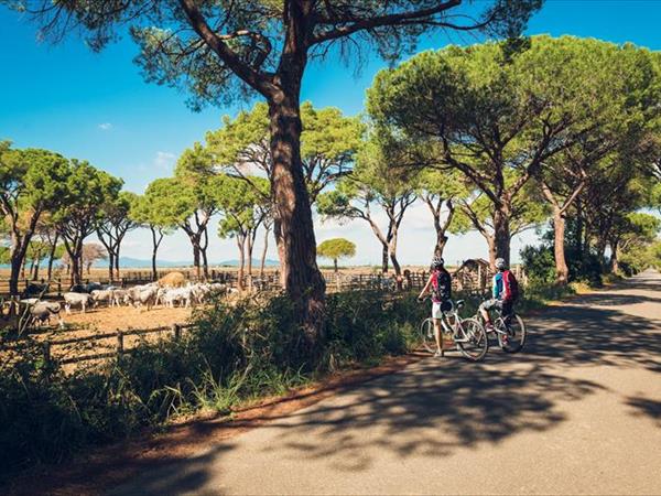 Poggiolivi Country House - foto 49863.jpg