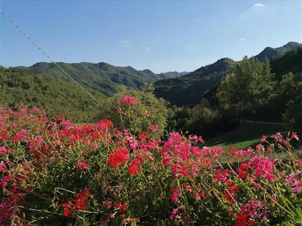 Agriturismo Sacchiafarm - foto 49911.jpg