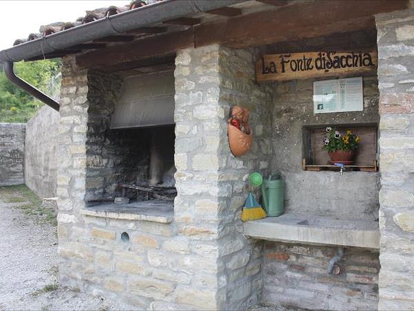 Agriturismo Sacchiafarm - foto 49912.jpg