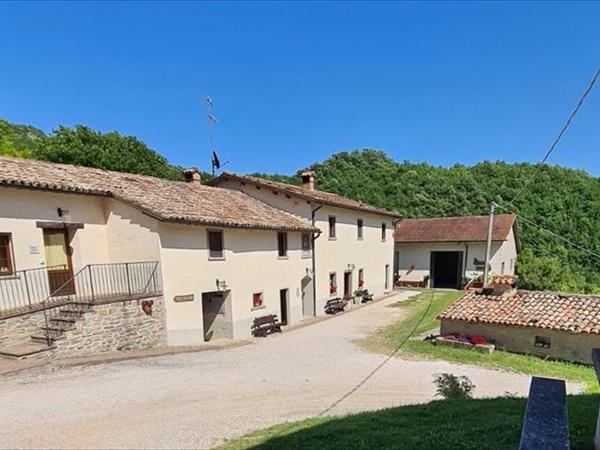 Agriturismo Sacchiafarm - foto 49915.jpg