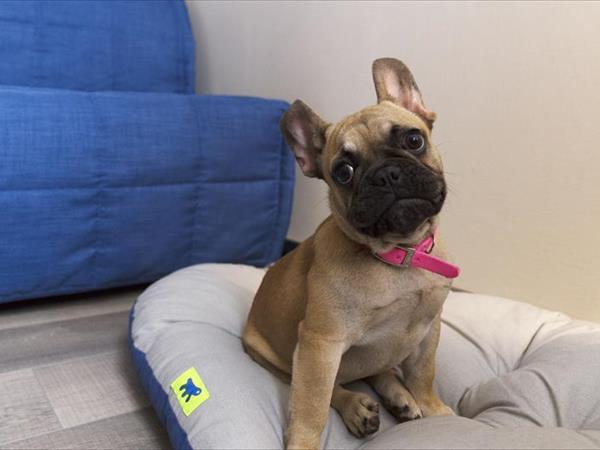 City Hotel Foligno - foto 49941.jpg