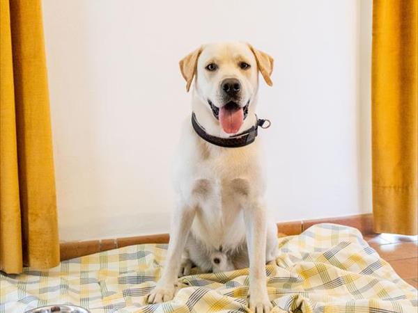 Hotel San Marco  - foto 49948.jpg