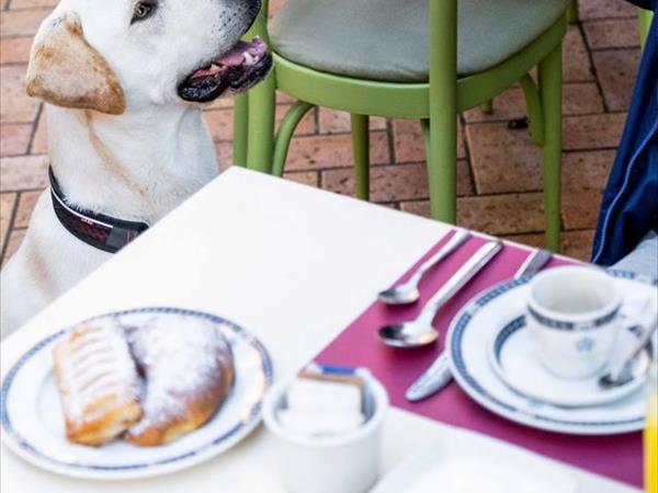 Hotel San Marco  - foto 49949.jpg