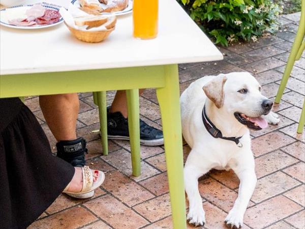 Hotel San Marco  - foto 49952.jpg