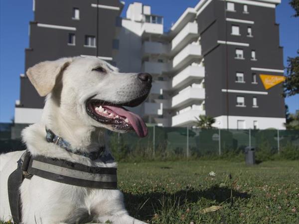 Nero DAvorio Aparthotel **** - foto 49975.jpg