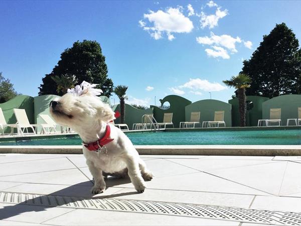 Nero DAvorio Aparthotel **** - foto 49976.jpg