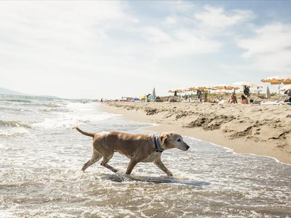 Gitavillage Club Degli Amici - foto 50106.jpg