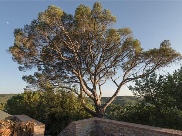 Agriturismo Serraiola Alta - foto 50197.jpg