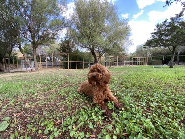 Case Vacanza Marina - Porto Rotondo  - foto 50204.jpg