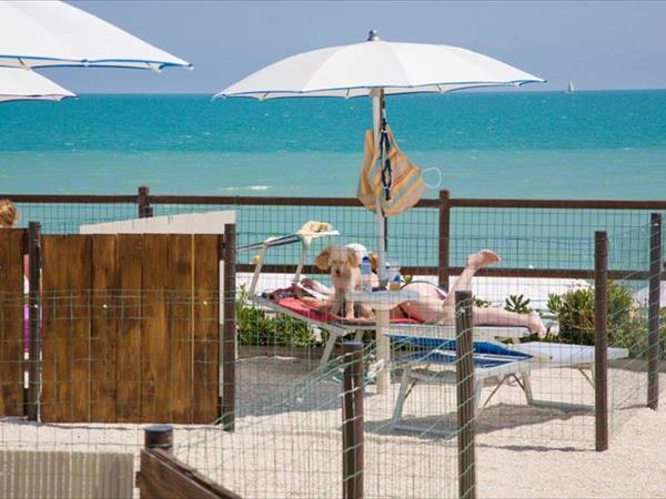 Camping La Medusa - foto 50224.jpg