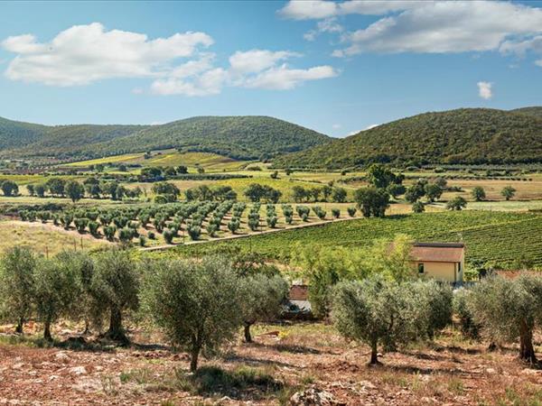 Poggiolivi Country House - foto 50228.jpg