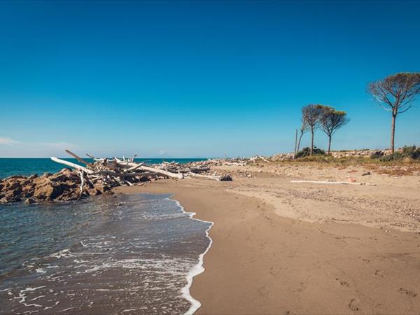 Poggiolivi Country House - foto 50231.jpg