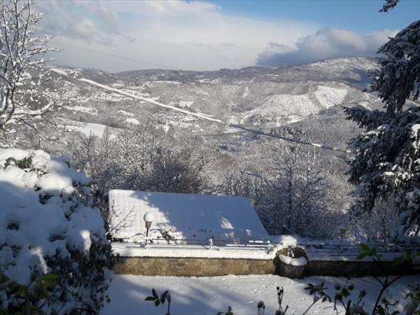 Quiet Country House - foto 50259.jpg