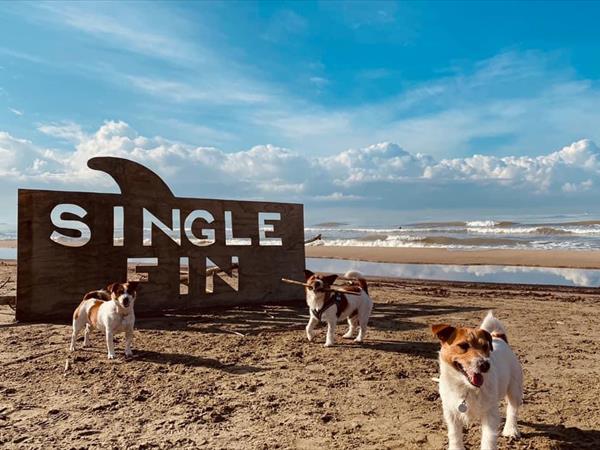 Single Fin Tuscany - foto 50267.jpg