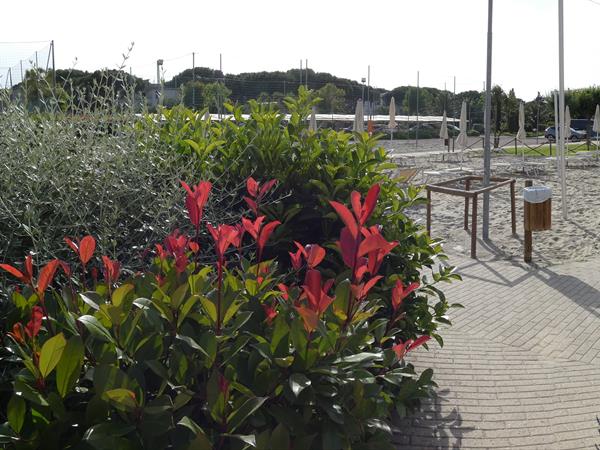 Rosa Dei Venti - foto 50283.jpg