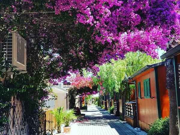 Villaggio Camping Duca Amedeo - foto 50342.jpg