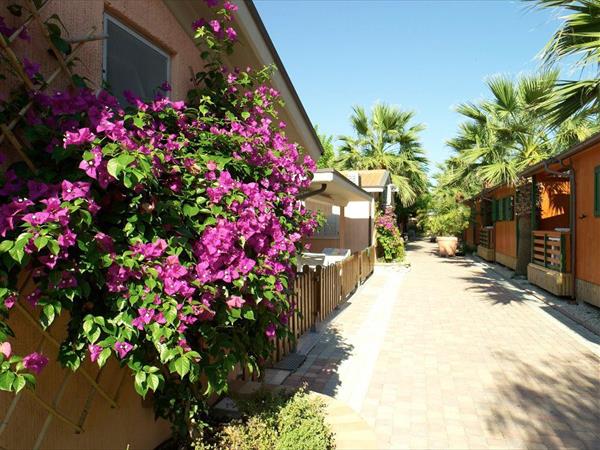 Villaggio Camping Duca Amedeo - foto 50343.jpg