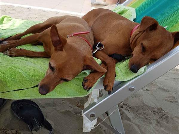 Hotel Corona - foto 50346.jpg