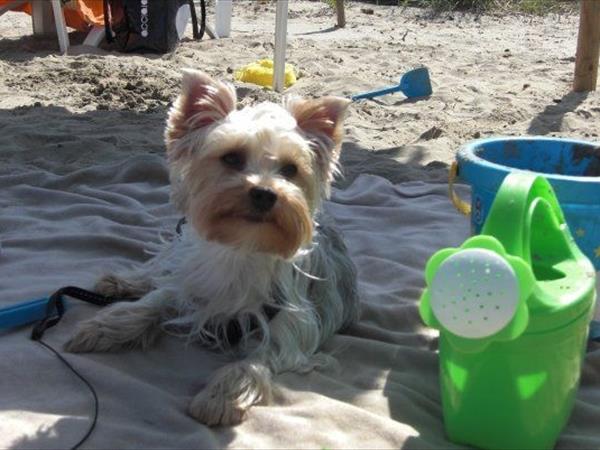 Hotel Corona - foto 50347.jpg