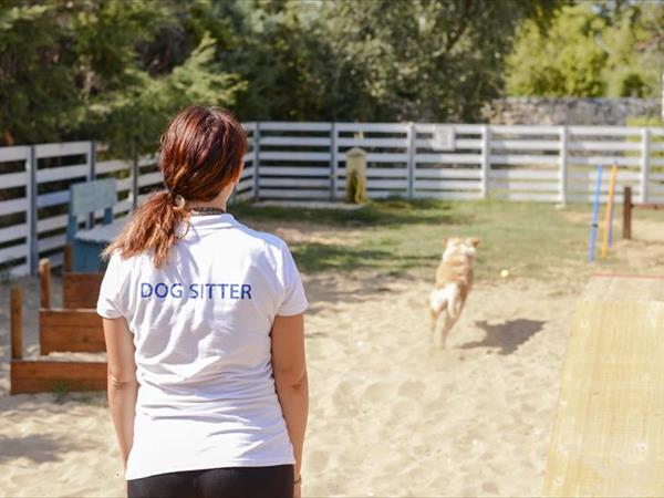 Villaggio Club degli Ulivi - foto 50430.jpg