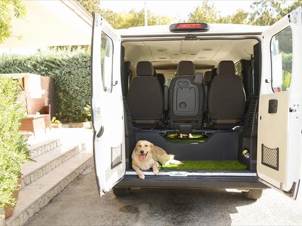 Villaggio Club degli Ulivi - foto 50434.jpg