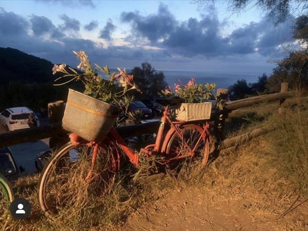 Villa i Tigli - foto 50438.jpg