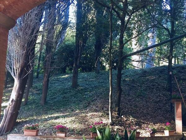 Villa i Tigli - foto 50443.jpg