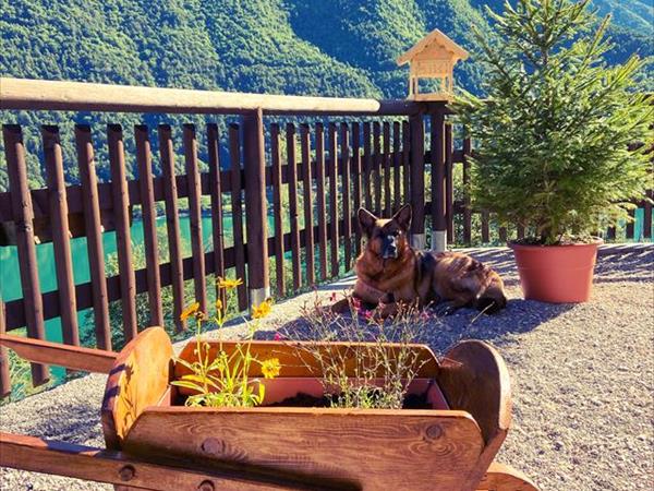 Ledro House Case Appartamenti Vacanza - foto 50475.jpg