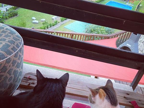 Ledro House Case Appartamenti Vacanza - foto 50477.jpg