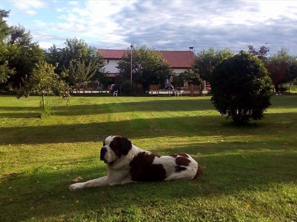 Agriturismo il Podere - foto 50567.jpg