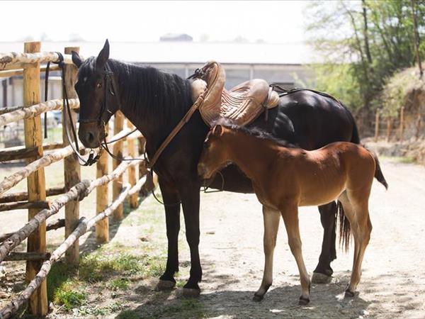 Tenuta di Poggiovalle - foto 50587.jpg