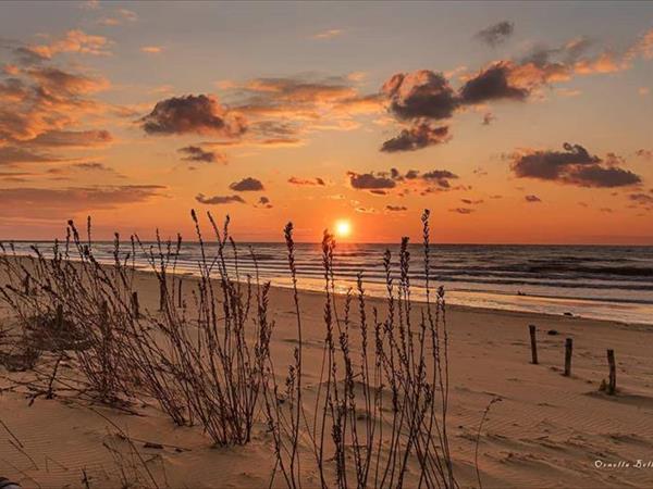 Golf Hotel Bibione - foto 50606.jpg