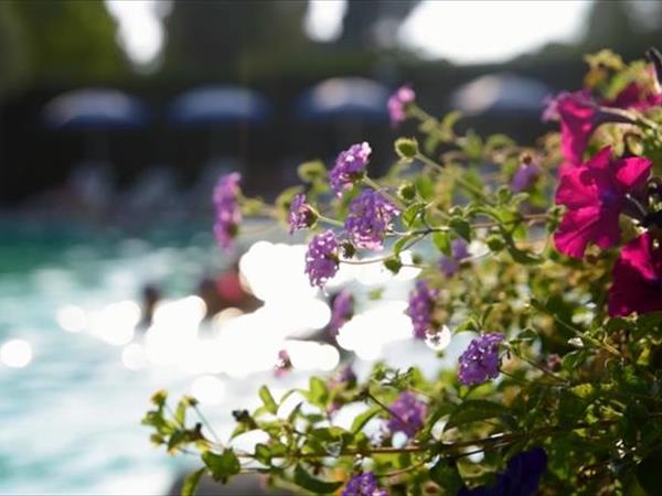 Elayon Club Residence - foto 50611.jpg