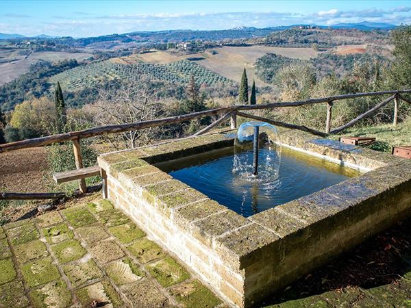 Art and Garden  - foto 50623.jpg