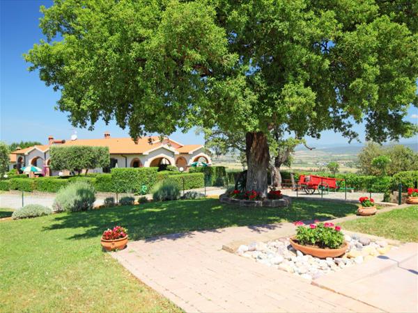 Casa Vacanze Bicchi - foto 50656.jpg