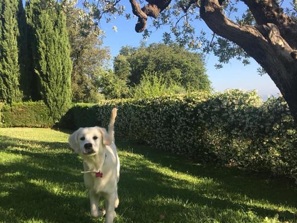 Casa Vacanze Bicchi - foto 50658.jpg