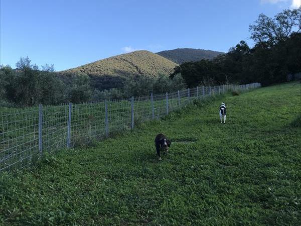 Casa Vacanze Bicchi - foto 50659.jpg