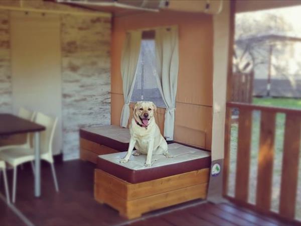 Camping Village Rocchette - foto 50685.jpg