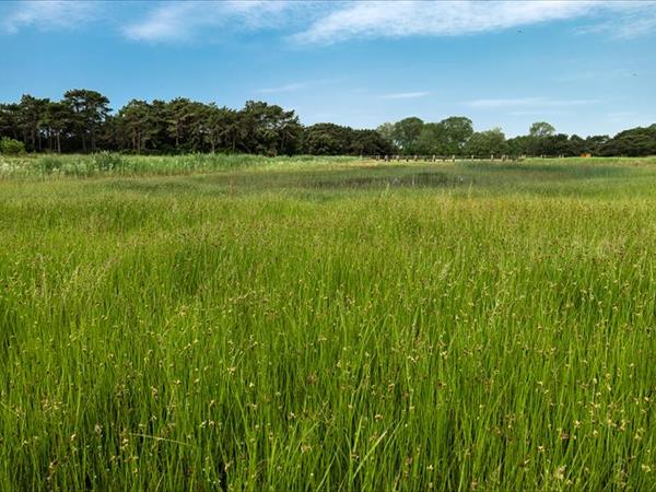 Lino delle Fate Eco Village Resort - foto 50712.jpg