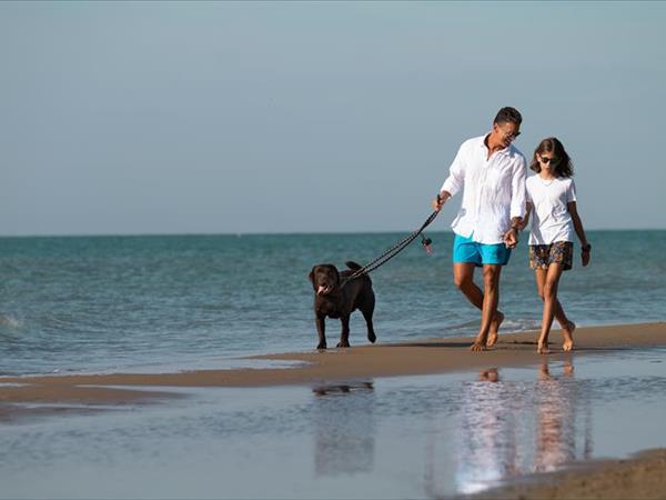 Marina Azzurra Resort Lignano Sabbiadoro  UD  Vacanzeanimali it