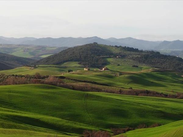 Fattorie Inghirami - foto 50770.jpg