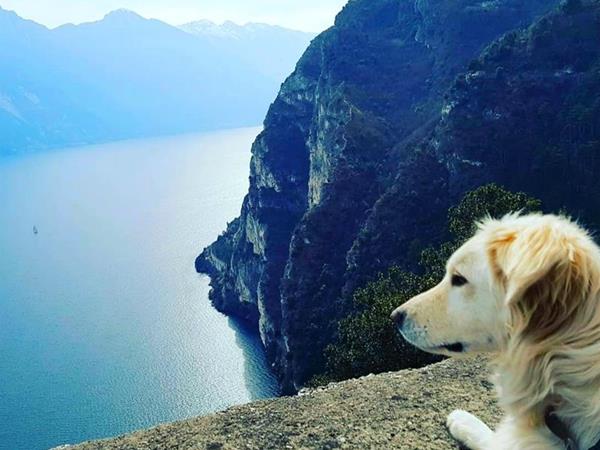 Lake Project - foto 50791.jpg