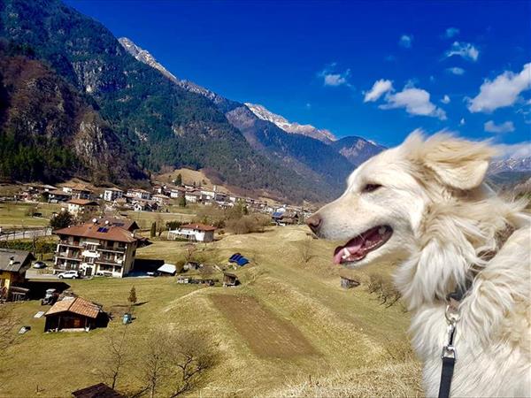 Lake Project - foto 50805.jpg