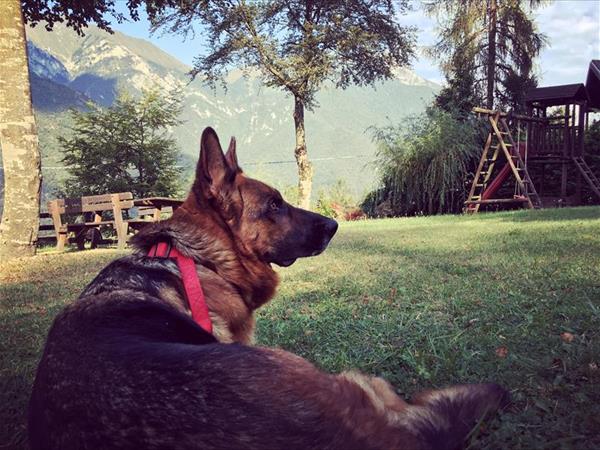 Ledro House Case Appartamenti Vacanza - foto 50988.jpg