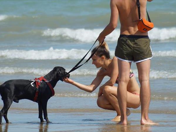 Hotel Germania - foto 51064.jpg