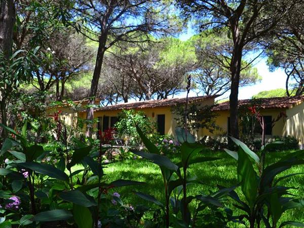 Horse Country Resort Congress & SPA  - foto 51078.jpg