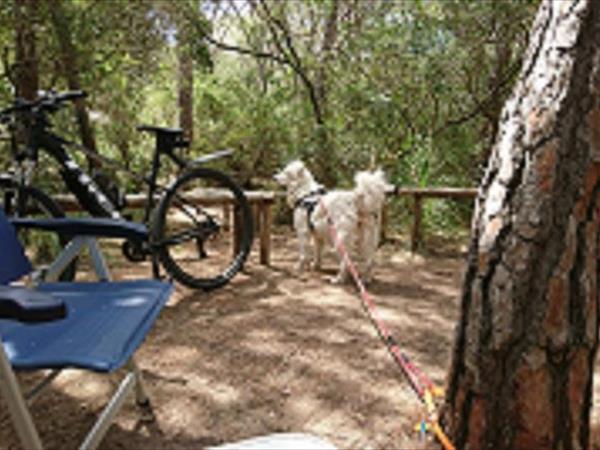 Camping Maremma Sans Souci - foto 51095.jpg