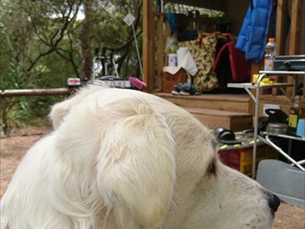 Camping Maremma Sans Souci - foto 51096.jpg