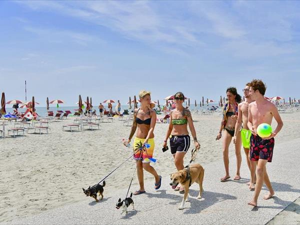 Barricata Holiday Village - foto 51142.jpg