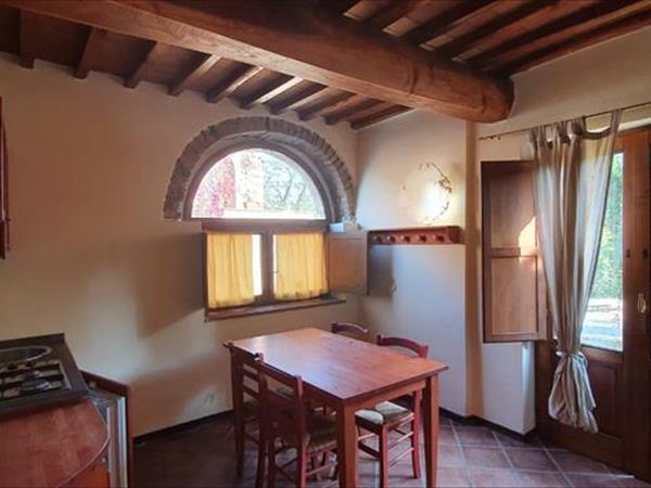 Fattoria Lischeto - foto 51223.jpg